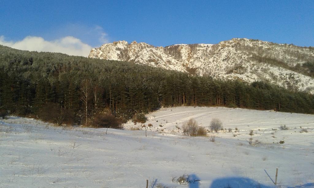 Chuchura Family Hotel Koprivsjtitsa Eksteriør bilde